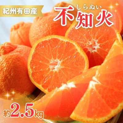 有田産不知火(しらぬひ) 2.5kg ※2026年2月中旬頃〜3月中旬頃順次発送予定【uot794】
