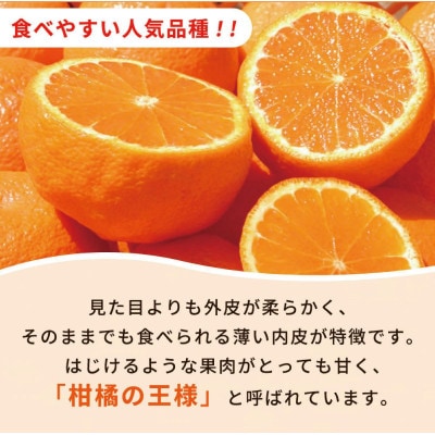 有田産不知火(しらぬひ) 2.5kg ※2026年2月中旬頃〜3月中旬頃順次発送予定【uot794】