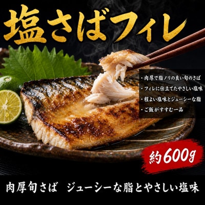 【ご家庭用訳あり】人気の塩さばフィレ&紅鮭切身セット計1kg【uot796C】