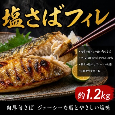 【ご家庭用訳あり】人気の塩さばフィレ&紅鮭切身セット計2kg【uot797sato】