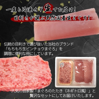 那智勝浦直送!天然もちもち生ビン長まぐろとたたきセット　4人前【uot805】