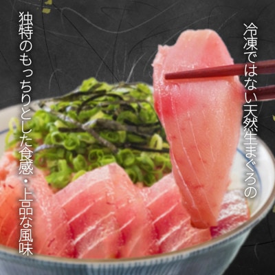 那智勝浦直送!天然もちもち生ビン長まぐろとたたきセット　4人前【uot805】