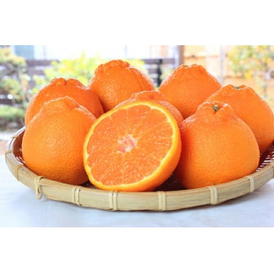 【ご家庭用訳あり】紀州有田産不知火(しらぬひ) 約3kg【uot830A】