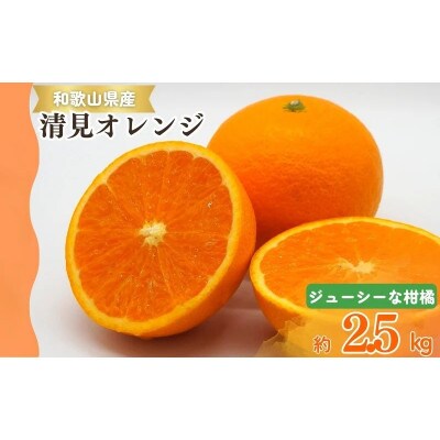 清見オレンジ 2.5kg　※2026年3月下旬頃～順次発送予定【uot832】