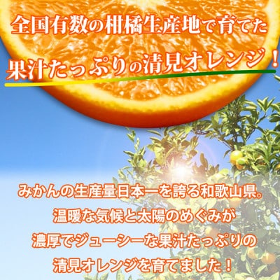清見オレンジ 2.5kg　※2027年4月上旬頃～順次発送予定【uot832A】