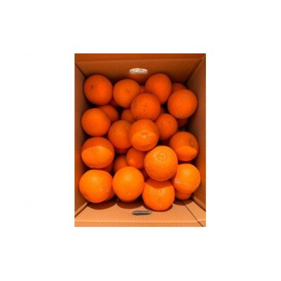 【ご家庭用訳アリ】紀州有田産清見オレンジ　5kg【uot833】