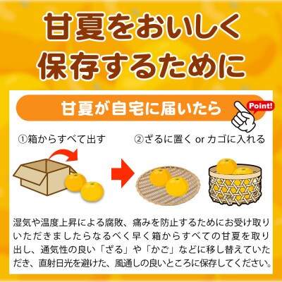 【ご家庭用訳あり】紀州有田産 すっきり爽やか 甘夏みかん 8kg【uot847】