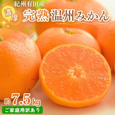 【ご家庭用 訳あり】紀州有田産 濃厚完熟 温州みかん 7.5kg【uot704A】