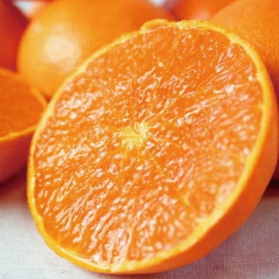 【ご家庭用訳あり】紀州和歌山産 せとか 約5kg【uot748A】