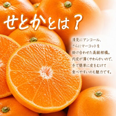 【ご家庭用訳あり】紀州和歌山産 せとか 約5kg【uot748A】