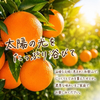 【ご家庭用訳あり】紀州和歌山産 せとか 約5kg【uot748A】