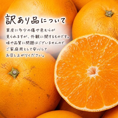 【ご家庭用訳あり】紀州和歌山産 せとか 約5kg【uot748A】