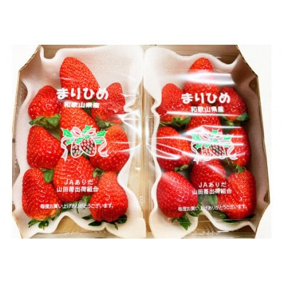 紀州和歌山 ブランドいちご「まりひめ」 約280g×2P【uot759】