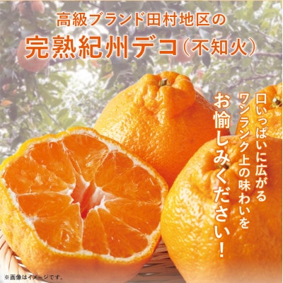 高級ブランド田村の完熟紀州デコ 不知火約8kg【3月上旬～中旬頃順次発送】【uot867】