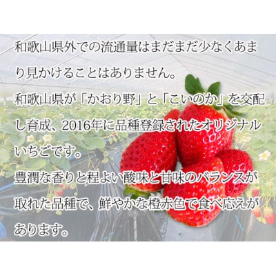 紀州和歌山ブランドいちご「紀の香」約250g×4P※1月中旬～3月中旬頃順次発送【uot868】