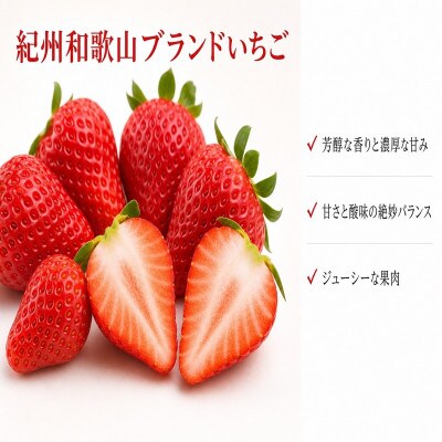 紀州和歌山ブランドいちご「紀の香」約250g×4P※1月中旬～3月中旬頃順次発送【uot868】