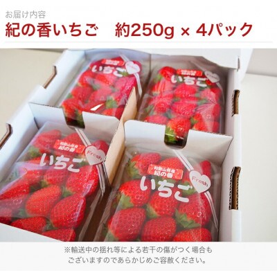 紀州和歌山ブランドいちご「紀の香」約250g×4P※1月中旬～3月中旬頃順次発送【uot868】