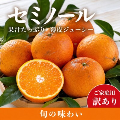 【ご家庭用訳あり】ジューシー柑橘　セミノールオレンジ　5kg 【uot870】