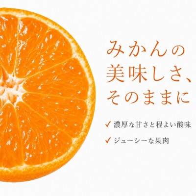 和歌山有田みかん10kg【訳ありご家庭用】2S～2Lサイズ混合【uot871】