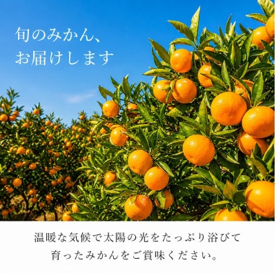 和歌山有田みかん10kg【訳ありご家庭用】2S～2Lサイズ混合【uot871】