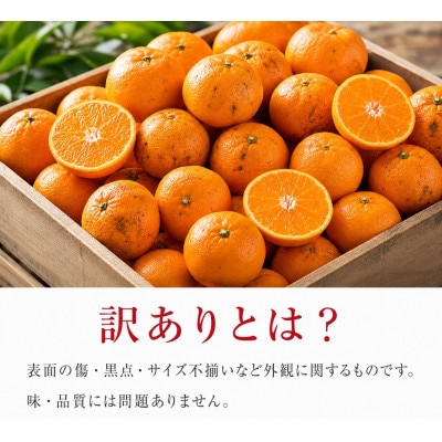 和歌山有田みかん10kg【訳ありご家庭用】2S～2Lサイズ混合【uot871】