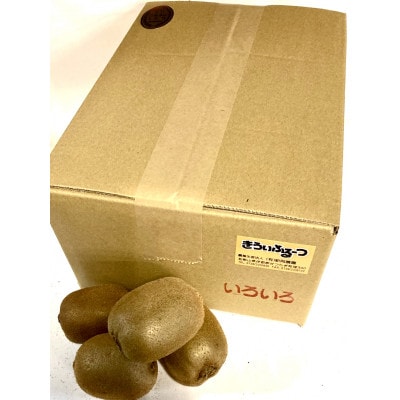 紀州かつらぎ山のキウイフルーツ 約3kg【uot792】