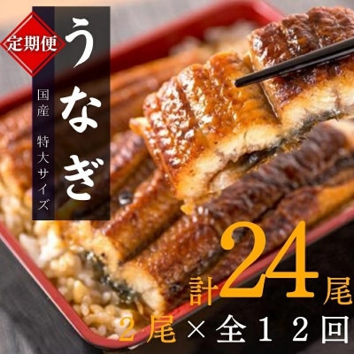 【毎月定期便】大型サイズ ふっくら柔らか 国産うなぎ蒲焼き【tkb311】全12回