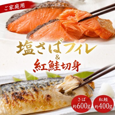【毎月定期便】大人気!ご家庭用 塩さばフィレ&紅鮭切身セット 計1kg【tkb355】全3回