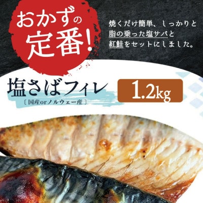 【毎月定期便】【ご家庭用】 人気の塩さばフィレ&紅鮭切身セット計2kg【tkb356sato】全3回