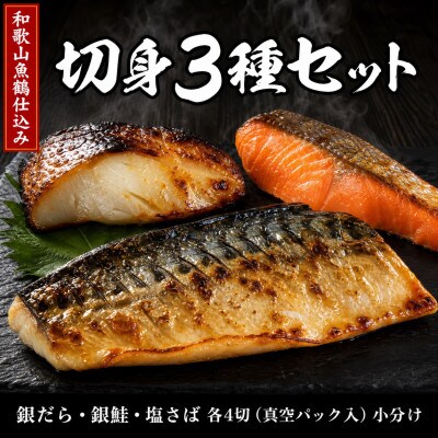 【毎月定期便】だし漬け銀だら切身4切・銀鮭切身4切・塩さばフィレ4枚【tkb417】全3回