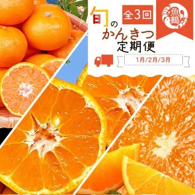 【発送月固定定期便】旬の柑橘定期便 田村みかん・ポンカン・清見オレンジ【tkb111】全3回
