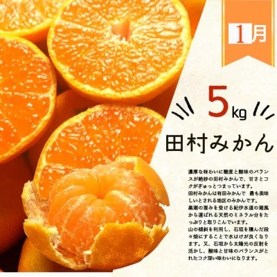 【発送月固定定期便】旬の柑橘定期便 田村みかん・ポンカン・清見オレンジ【tkb111】全3回