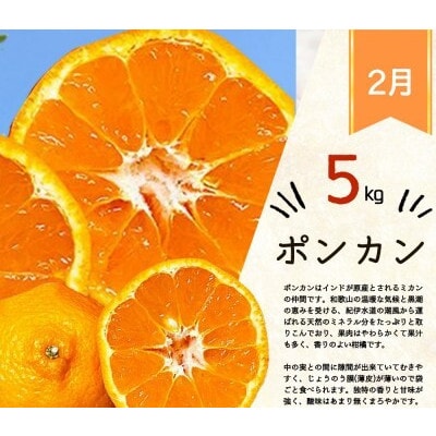 【発送月固定定期便】旬の柑橘定期便 田村みかん・ポンカン・清見オレンジ【tkb111】全3回