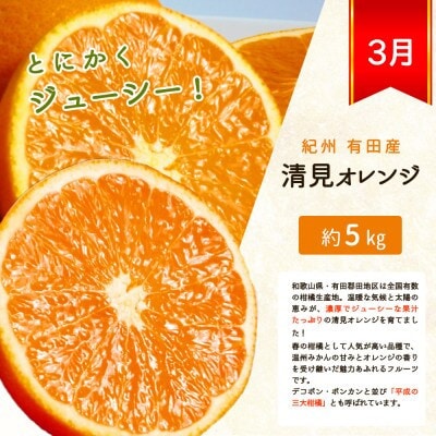 【発送月固定定期便】旬の柑橘定期便 田村みかん・ポンカン・清見オレンジ【tkb111】全3回