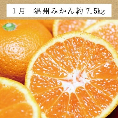 【発送月固定定期便】訳ありみかんの定期便　温州みかん・不知火・清見オレンジ【tkb113】全3回