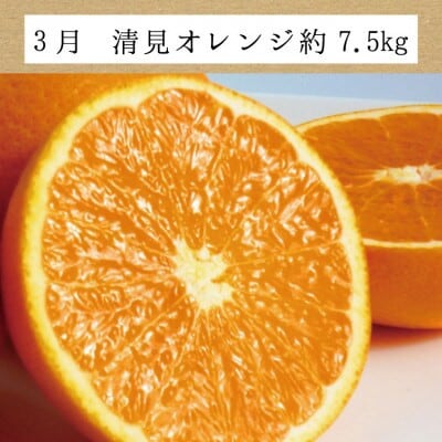 【発送月固定定期便】訳ありみかんの定期便　温州みかん・不知火・清見オレンジ【tkb113】全3回