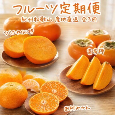 【発送月固定定期便】秋の味覚 果物定期便♪ひらたねなし柿・富有柿・田村みかん【tkb130】全3回