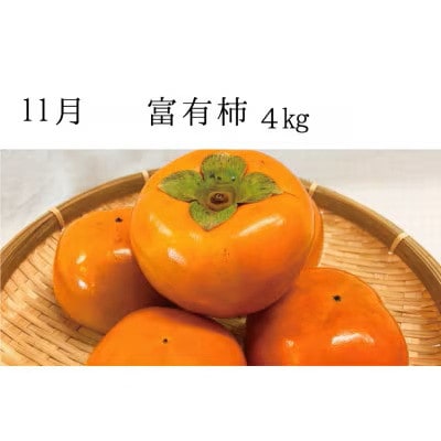 【発送月固定定期便】秋の味覚 果物定期便♪ひらたねなし柿・富有柿・田村みかん【tkb130】全3回