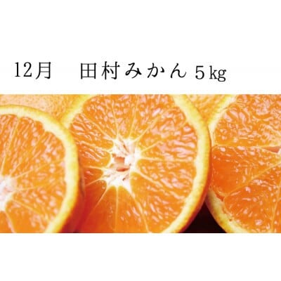【発送月固定定期便】秋の味覚 果物定期便♪ひらたねなし柿・富有柿・田村みかん【tkb130】全3回
