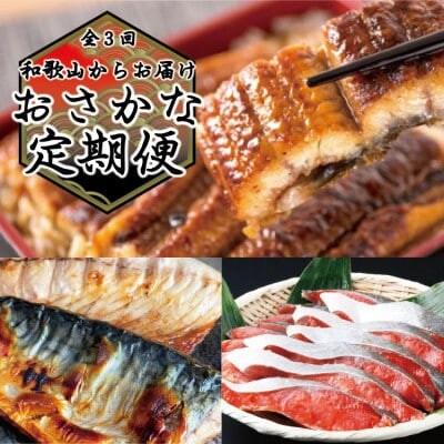 【毎月定期便】和歌山からお届け おさかな定期便　サバ・ウナギ・サケ【tkb131sato】全3回