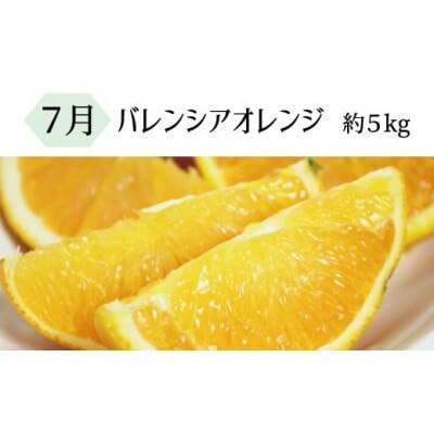 【発送月固定定期便】暑い季節にお届け!果物定期便　バレンシアオレンジ・桃・柿【tkb142】全3回