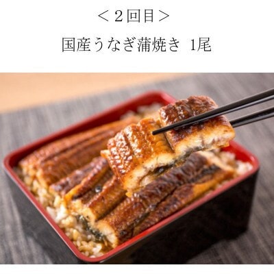 【毎月定期便】困った時に!晩ご飯直行　おかず定期便(さば・鰻・サケ・海鮮丼)【tkb304】全4回