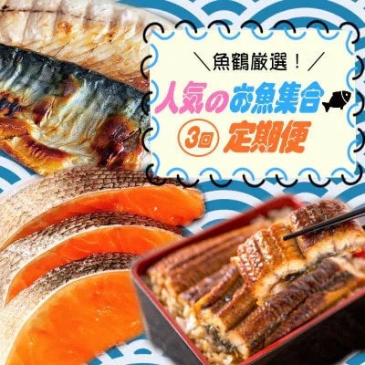 【毎月定期便】魚鶴厳選!人気のお魚集合定期便(さば・銀鮭・うなぎ)【tkb307】全3回