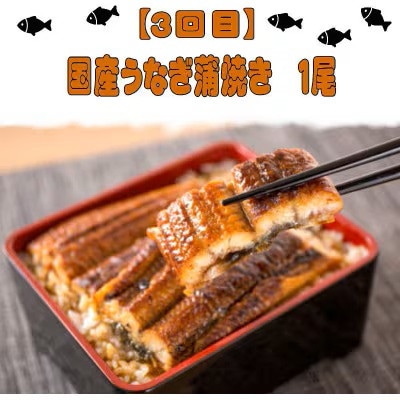 【毎月定期便】魚鶴厳選!人気のお魚集合定期便(さば・銀鮭・うなぎ)【tkb307】全3回