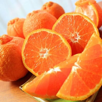 【発送月固定定期便】フルーツ大国和歌山よりお届け!旬のフルーツ定期便B【tkb351】全3回