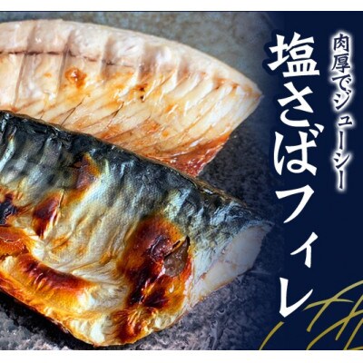 【毎月定期便】ご家庭用 塩さばフィレの定期便 【tkb353sato】全3回