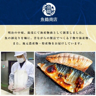 【毎月定期便】ご家庭用 塩さばフィレの定期便 【tkb353sato】全3回