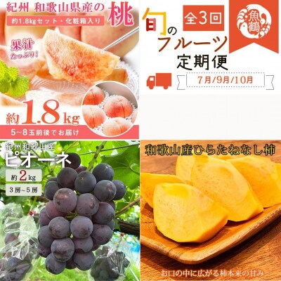 【発送月固定定期便】和歌山産旬のフルーツ定期便  桃・ピオーネ・ひらたねなし柿【tkb371】全3回