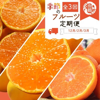 【発送月固定定期便】和歌山産旬のフルーツ定期便 (田村みかん・はるみ・不知火)【tkb376】全3回