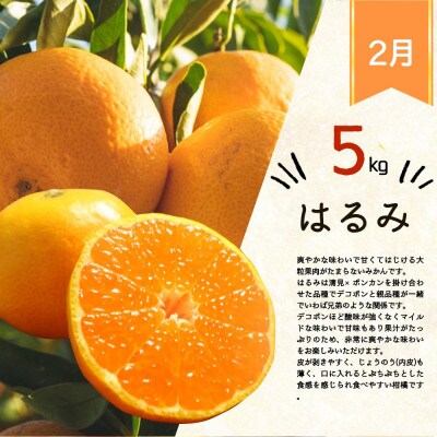 【発送月固定定期便】和歌山産旬のフルーツ定期便 (田村みかん・はるみ・不知火)【tkb376】全3回